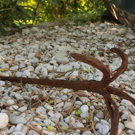 Ro - Ela - With Balcony And Sea View - A2 Lejlighed *